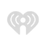 paddy-daly-71.webp