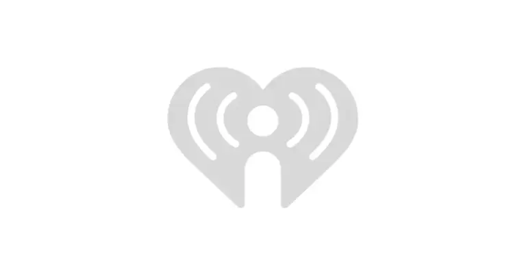 paddy-daly-71.webp