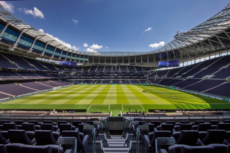 tottenham-hotspur-f-c-236.jpeg