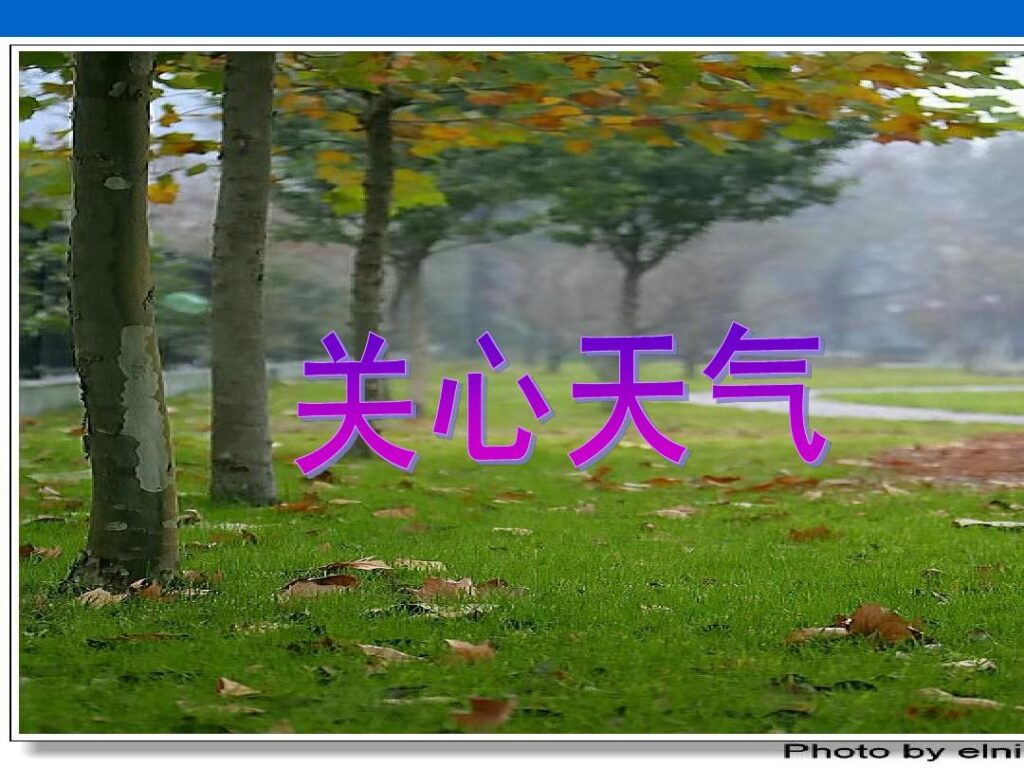 453.jpeg