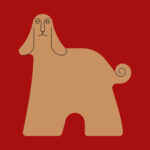 afghan-hound-70.jpeg