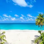 barbados — CA news