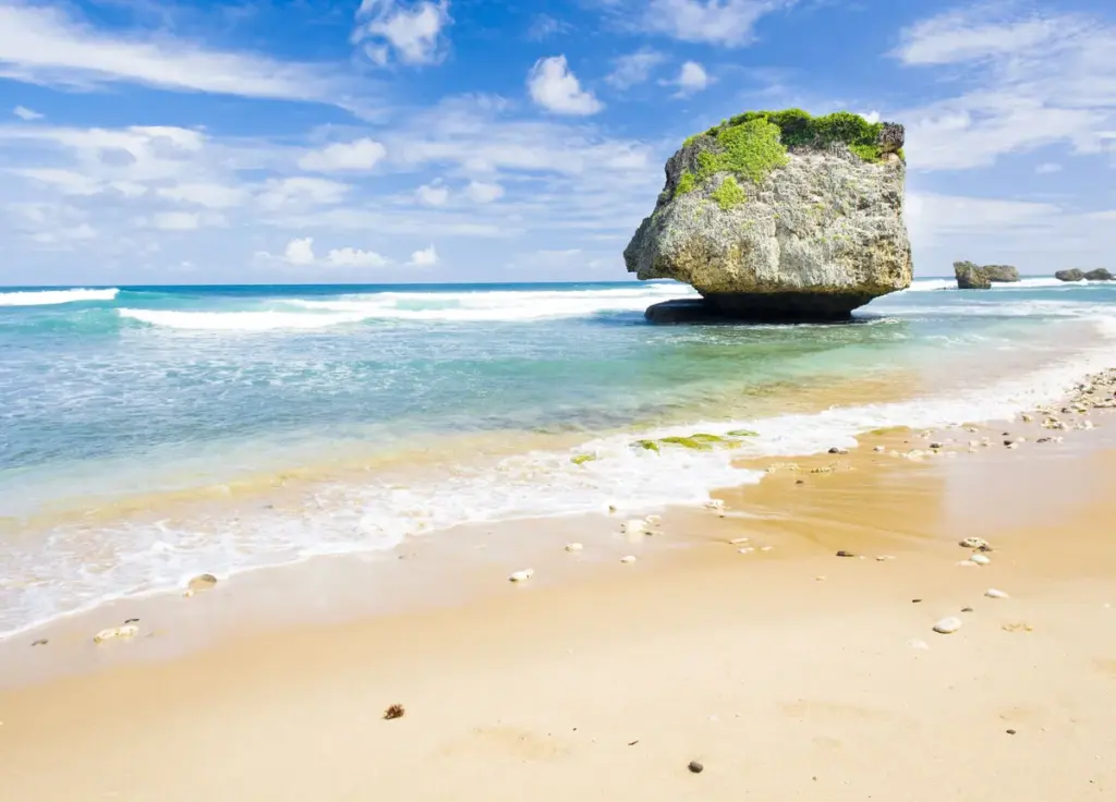barbados — CA news