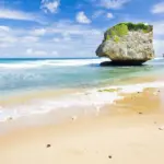 barbados — CA news