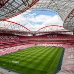 benfica — CA news