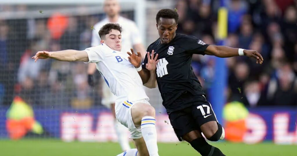 birmingham-vs-leeds-united-534.jpg