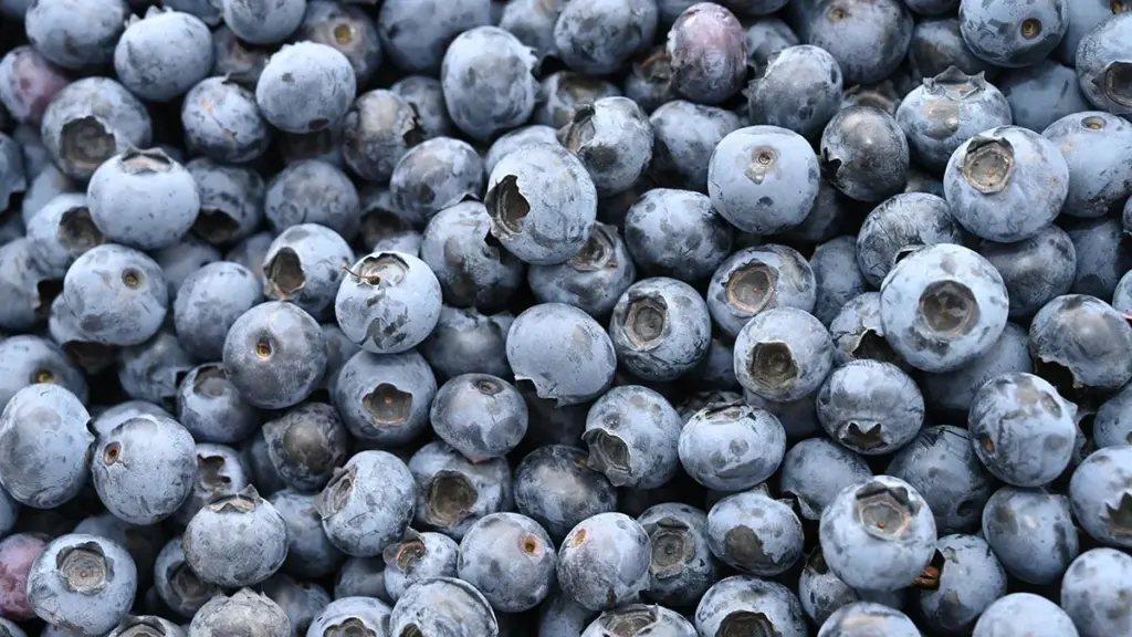 blueberries recalled — CA news