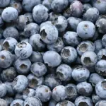 blueberries recalled — CA news