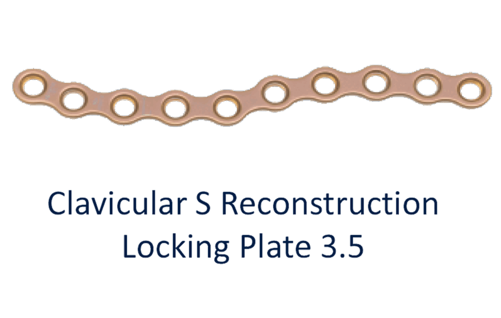 clavicular-729.png
