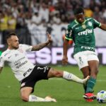 corinthians-vs-palmeiras-273.jpeg