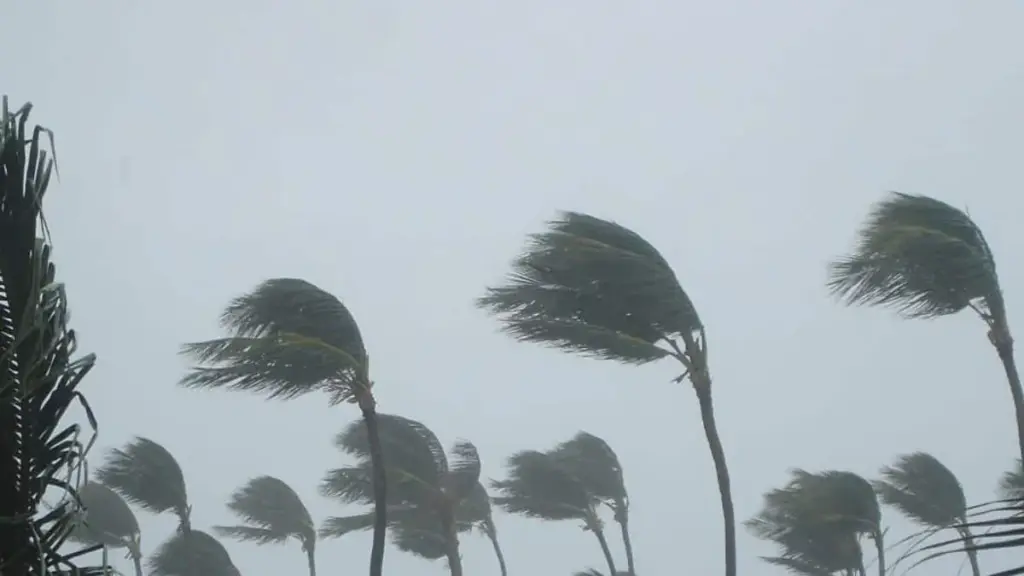 cyclone horacio — CA news