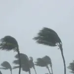cyclone horacio — CA news