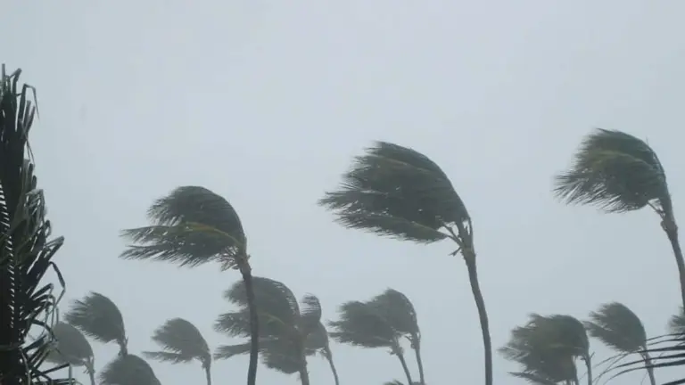 cyclone horacio — CA news