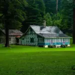 dalhousie — CA news