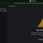 discord-age-verification-118.jpeg