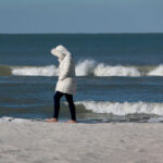 florida-falling-iguanas-weather-140.jpeg