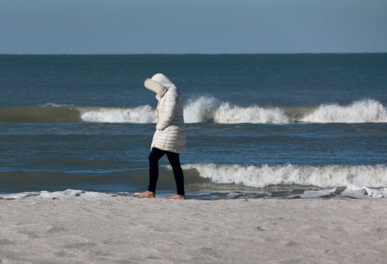 florida-falling-iguanas-weather-140.jpeg