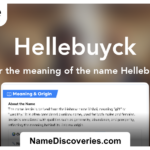 hellebuyck-213.png