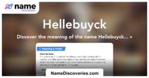 hellebuyck-213.png