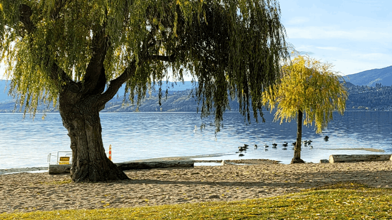 kelowna-weather-192.png