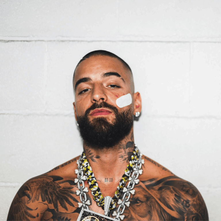 maluma-837.png
