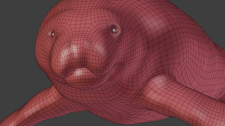 manatee-73.png