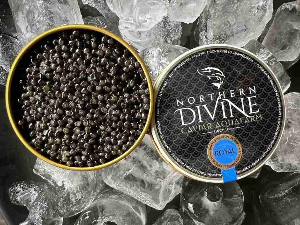 mcnugget-caviar-canada-490.webp