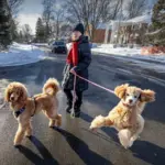 montreal weather — CA news