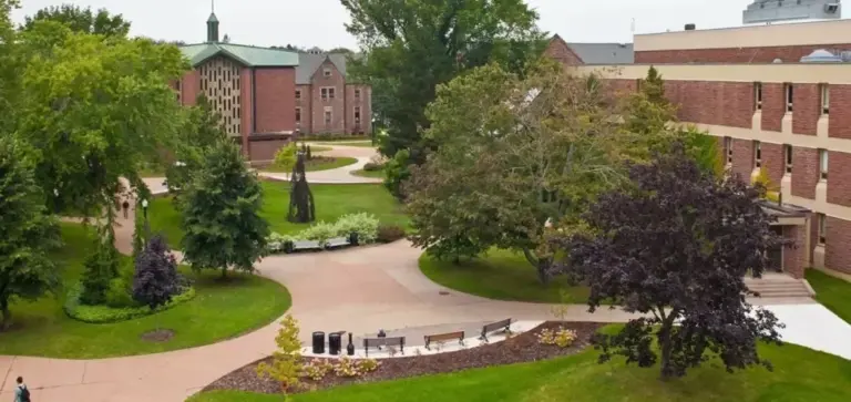 mount-allison-university-194.webp