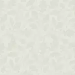 nancy-guthrie-update-51.webp