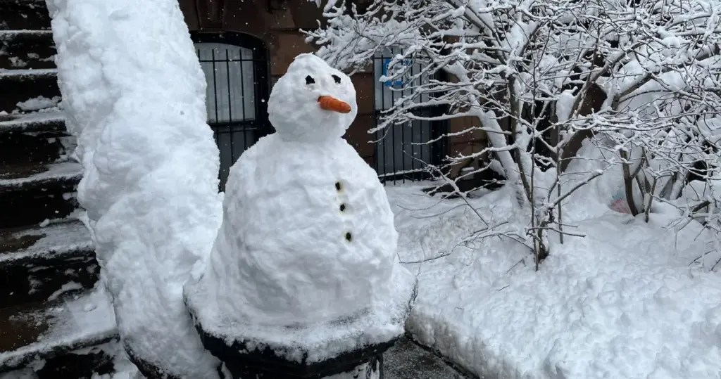 new york blizzard — CA news