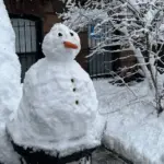 new york blizzard — CA news