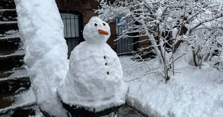 new york blizzard — CA news