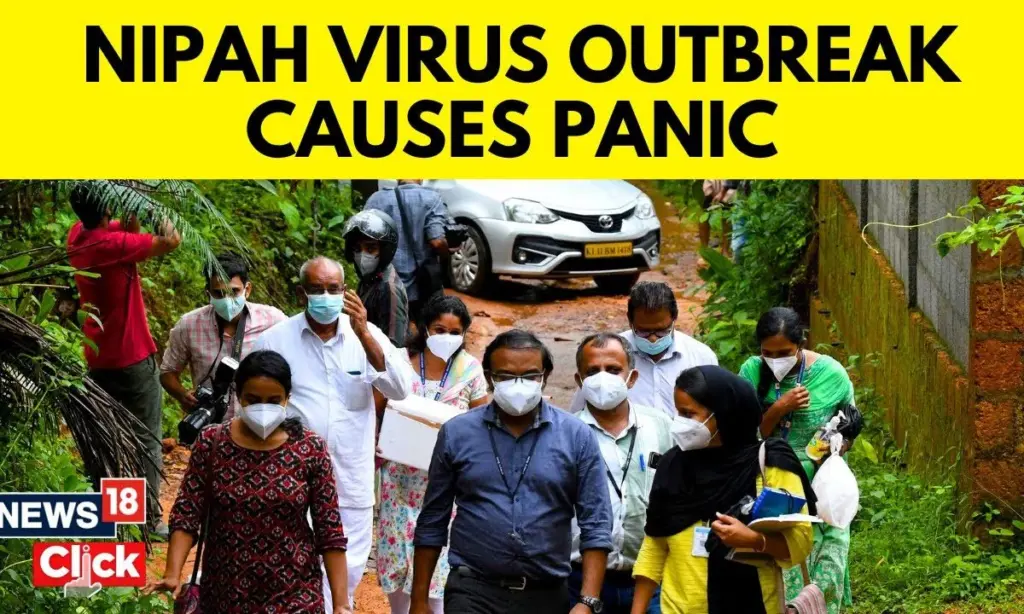 nipah-virus-outbreak-australia-188.webp
