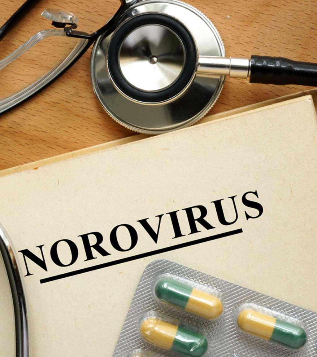 norovirus-5.jpeg