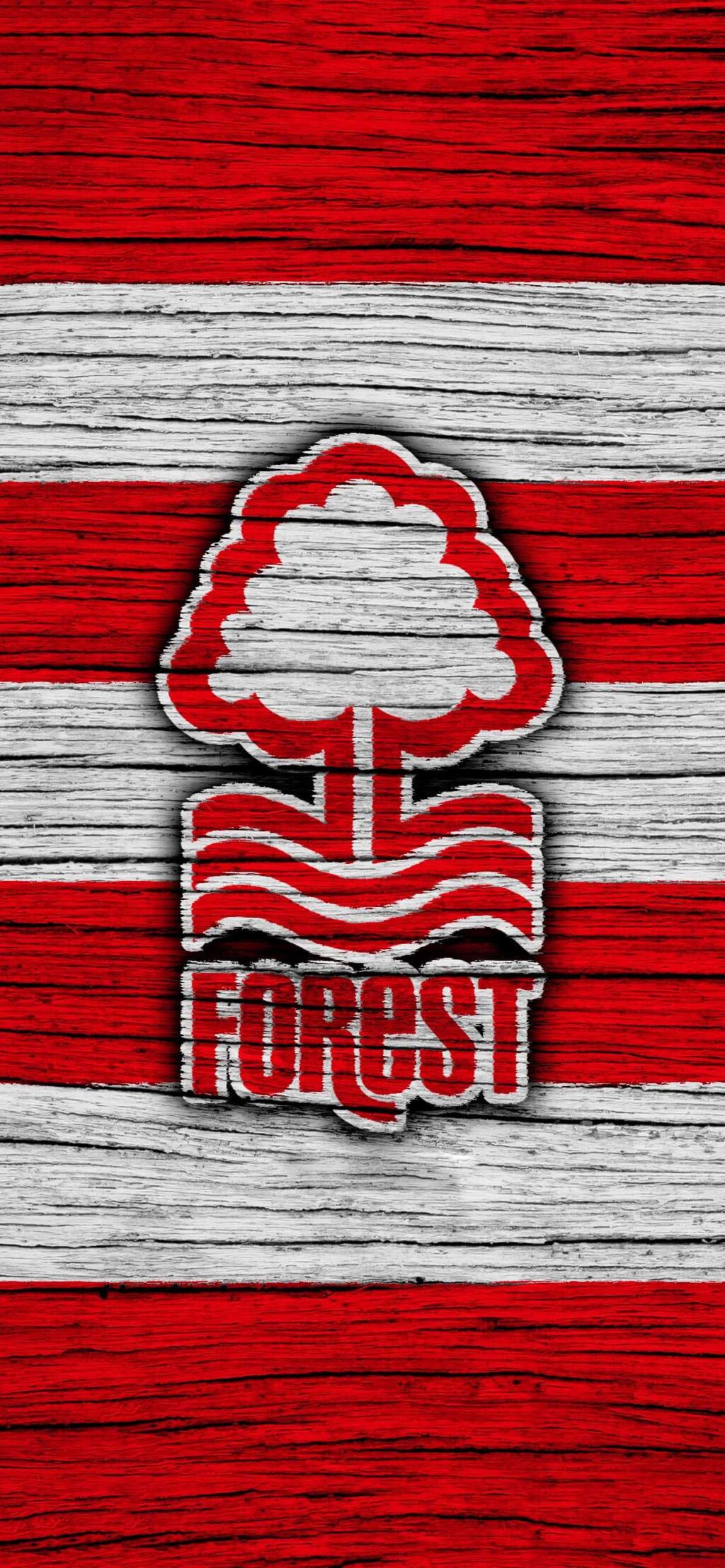 nottingham-forest-166.jpeg