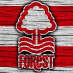 nottingham-forest-166.jpeg
