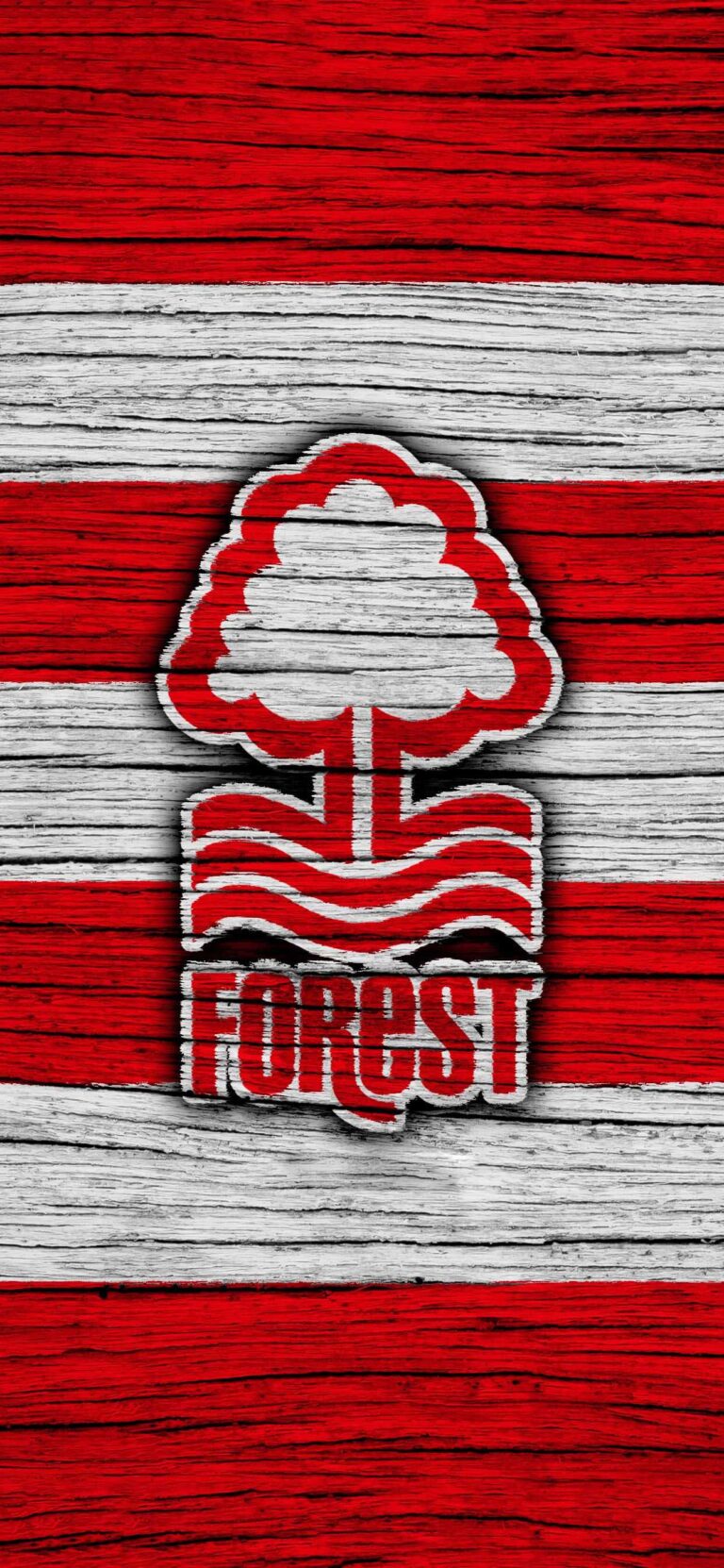 nottingham-forest-166.jpeg