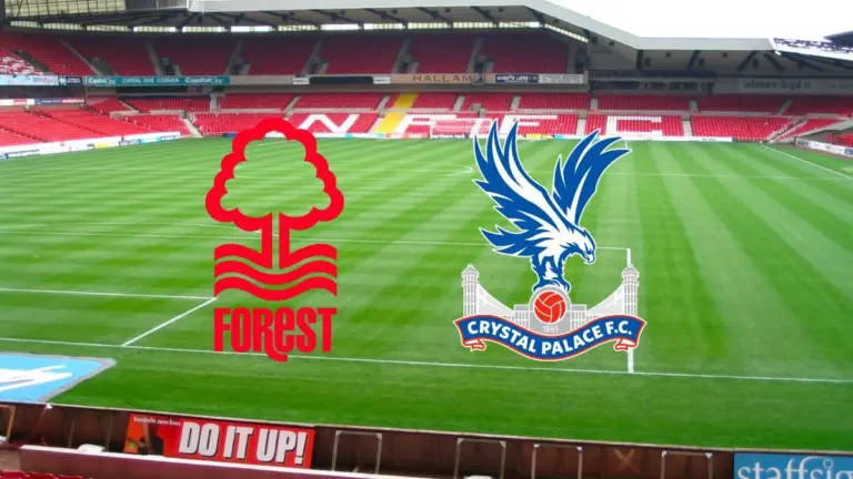 nottm-forest-vs-crystal-palace-148.webp