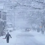 nova scotia storm closures — CA news