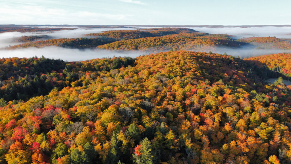 ontario-parks-1590.jpeg
