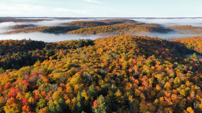 ontario-parks-1590.jpeg