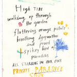 paradise-show-357.jpeg