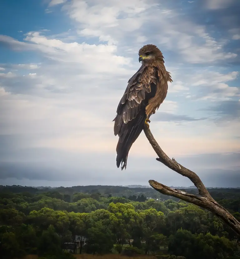 pete-james-london-ontario-1571.webp