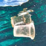 plastic-bans-47.webp