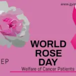 rose-day-44.webp