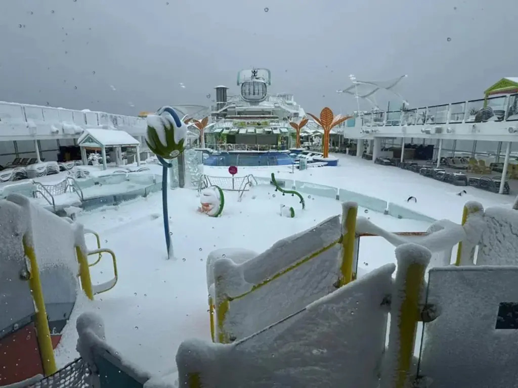 royal caribbean odyssey of the seas — CA news