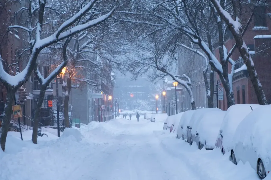saint john weather — CA news