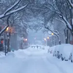 saint john weather — CA news
