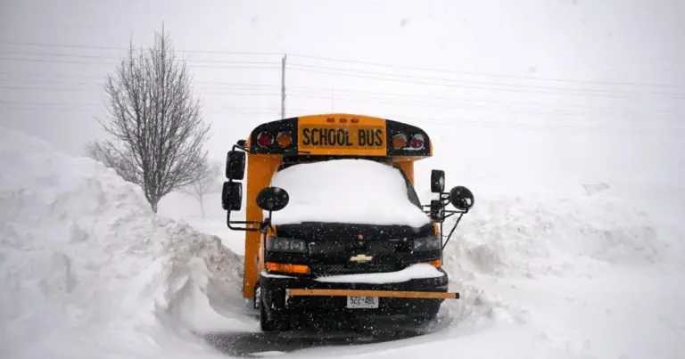 school bus cancellation — CA news